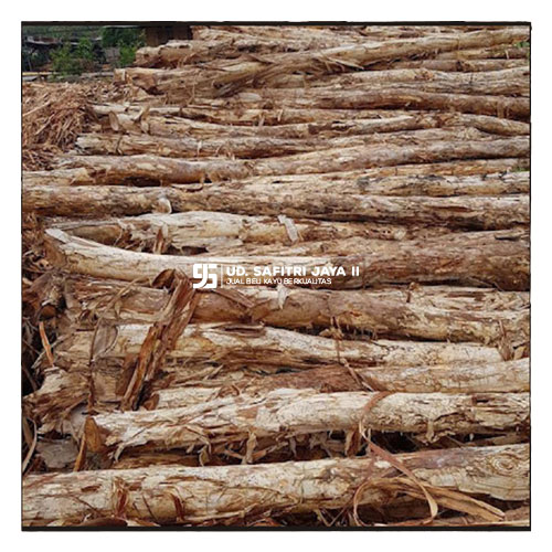 Jual Kayu Dolken Gelam