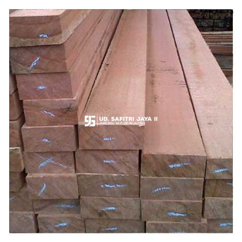 Jual Kayu Kempas